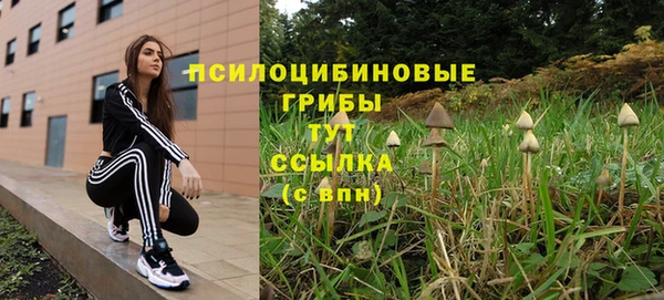 герыч Магас