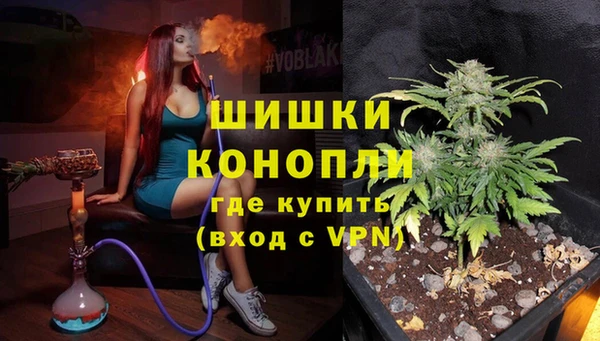 винт Майский