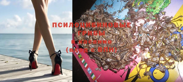 герыч Магас