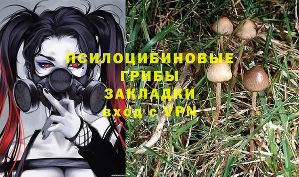 винт Майский