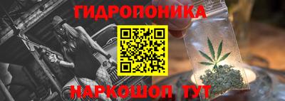 jwh Кандалакша