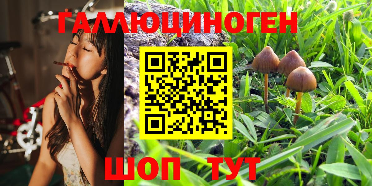 Майский  Галлюциногенные грибы MAGIC MUSHROOMS  Вход с VPN 